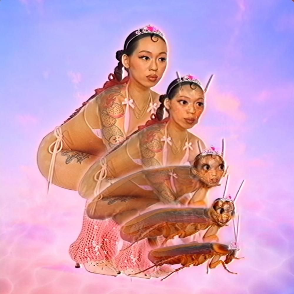 SAILORR Delivers On Debut