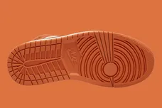 Air-Jordan-1-Mid-Sport-Spice-FD0804-100-1