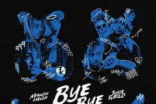 ab67616d0000b273aa5cb0b54dec9bef881b8946