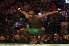 UFC 281: Adesanya v Pereira