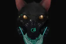 Screen Shot 2022-12-23 at 12.35.35 PM