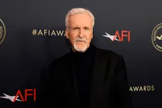 AFI Awards Luncheon - Red Carpet