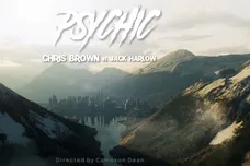 Chris Brown - Psychic