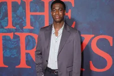 The Strays special screening - London