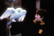 Harry Potter and The Sorcerer's Stone - Movie Stills