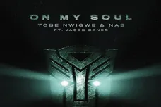 TobeNwigweNasTransformersCoverArt