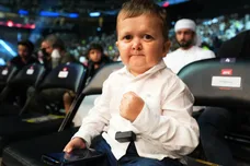 UFC 280: Muradov v Borralho