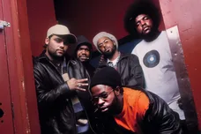 the roots organix