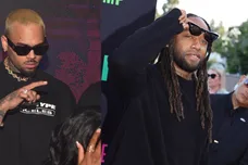 Chris Brown Ty Dolla Sign Motion Dog Attack Lawsuit