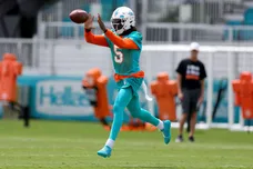 Miami Dolphins Offseason Workout