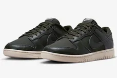 Nike-Dunk-Low-Premium-Sequoia-DZ2538-300-4