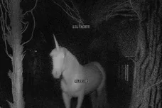 lil-yachty-warrriors