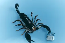 miguel lil yachty number 9