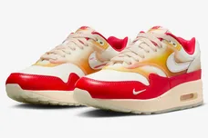 nike-air-max-1-sofvi-11