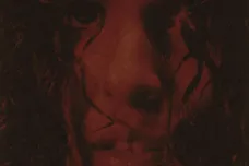 070-Shake-Black-Dress-1695398534