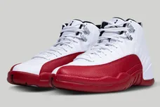 Air-Jordan-12-Cherry-CT8013-116