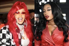 CardiBMeganTheeStallionBongosBTS