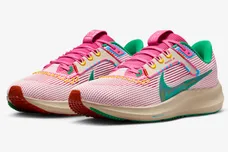 Nike-Air-Zoom-Pegasus-40-Familia-FN0599-100-4