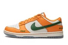 Nike Dunk Low Florida A&M