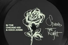 bj the chicago kid spend the night coco jones