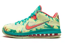Nike-LeBron-9-Low-22LeBronald-Palmer22