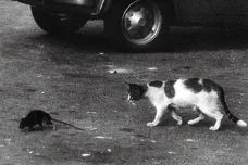 conway the machine brick by brick