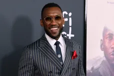 2021 AFI Fest: Official Screening Of Magnolia Pictures' "Swan Song" - Arrivals