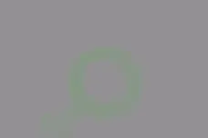 slasuon malone 1 excelsior