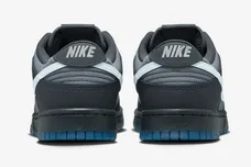 Nike-Dunk-Low-Anthracite-Pure-Platinum-Cool-Grey-FV0384-001-5