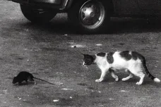 conway the machine wun two goosebytheway montagna