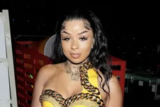 Blueface Chrisean Rock Toilet House Fight Brother Live Stream Hip Hop News