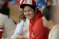 Detroit Tigers v Los Angeles Angels