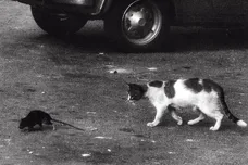 cold dish conway the machine wun two goosebytheway