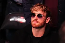 UFC 295: Prochazka v Pereira