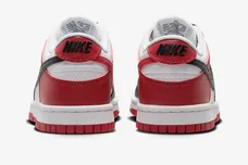 Nike-Dunk-Low-GS-Black-Toe-HF9980-600-5