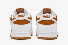 Nike-Dunk-Low-Reverse-Curry-2024-5