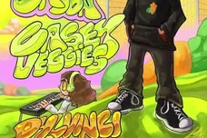 casey veggies put the city on