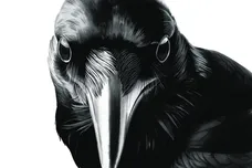 pharrell williams mumford and sons