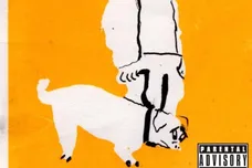 polo perks ricky eats acid