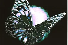 rico nasty hardcore dr3amz