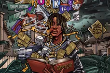 baby jungle jungle book