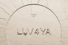 destroy-lonely-luv-4-ya