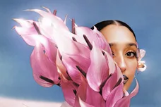 raveena where the butterflies go