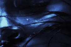 fountain baby roses are red