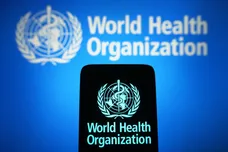 In this photo illustration, the World Health Organization (