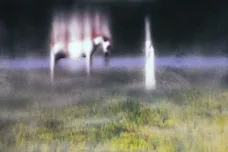 1.86.0-S55TBPKUF6X3ICF6AJL3GNXCWI.0.1-3