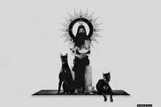 brodie fresh boldy fresh