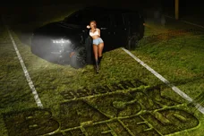 blakeiana back in the field