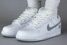 Supreme-Nike-SB-Dunk-Low-White-Metallic-Silver-HQ8487-100-1