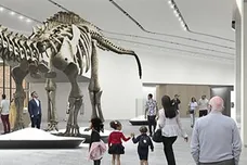 edward-skeletrix-museum-music